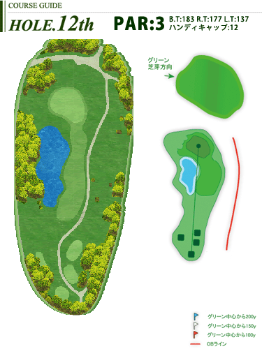 hole12